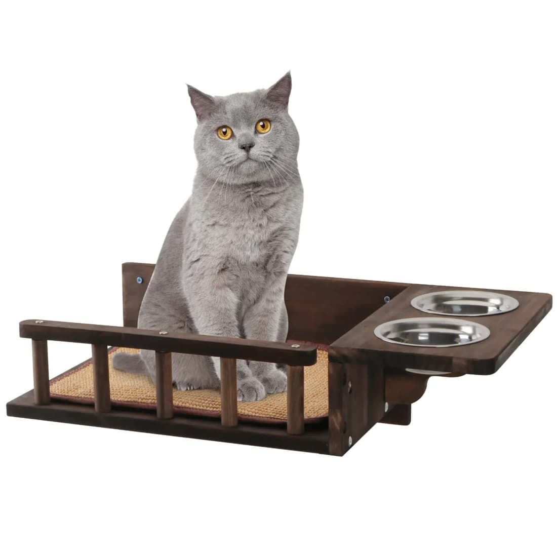 Cat Tree Amazon visual project image